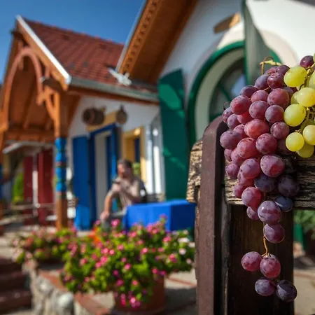 Bed and breakfast Bagoly Pincesor Fogado Pécs
