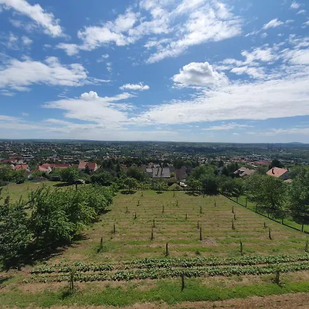 Bed and Breakfast Bagoly Pincesor Fogado 4*