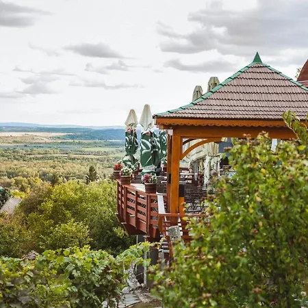 Bagoly Pincesor Fogado Bed and Breakfast