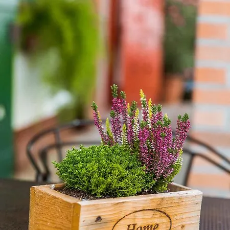 Bagoly Pincesor Fogado 4* Πετς