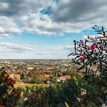 Bagoly Pincesor Fogado 4*