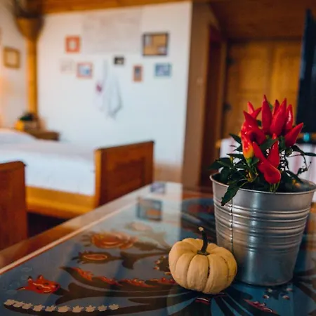 Bagoly Pincesor Fogado Bed & Breakfast