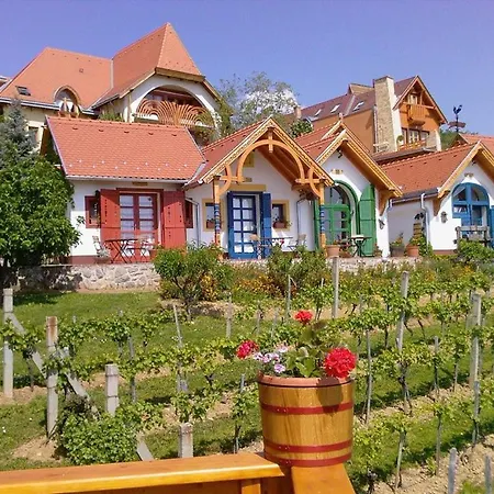 Bagoly Pincesor Fogado Bed and Breakfast