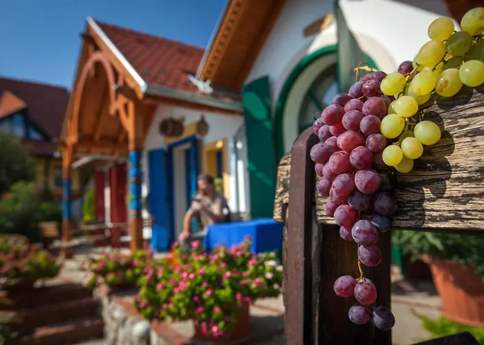 Bed and breakfast Bagoly Pincesor Fogado Pécs