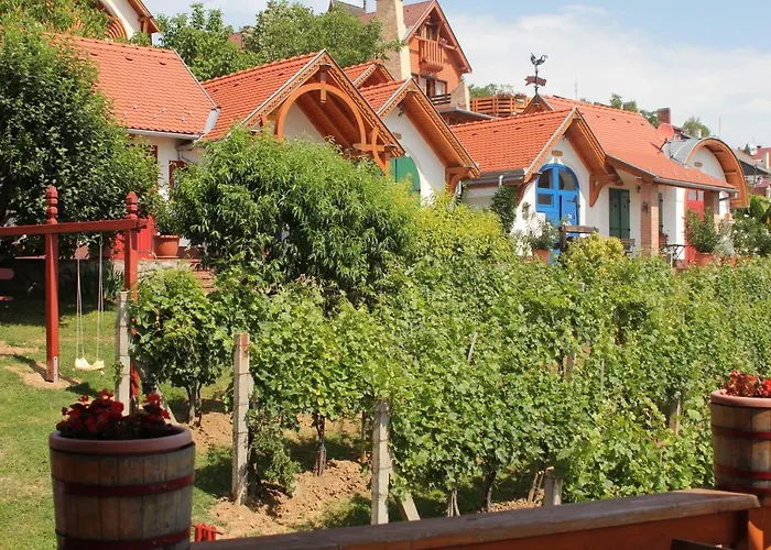 Bagoly Pincesor Fogado Bed and Breakfast 4*