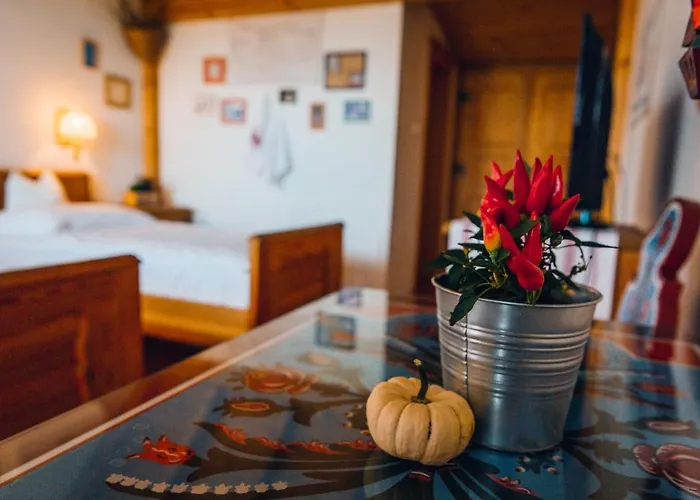 Bagoly Pincesor Fogado Bed and Breakfast