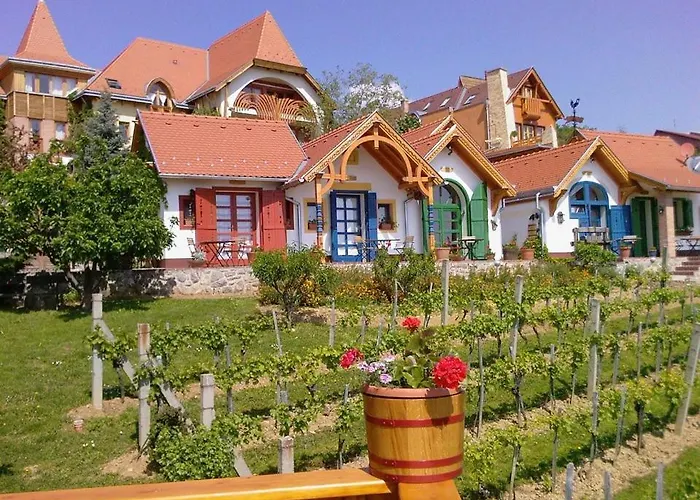 Bagoly Pincesor Fogado Bed and breakfast